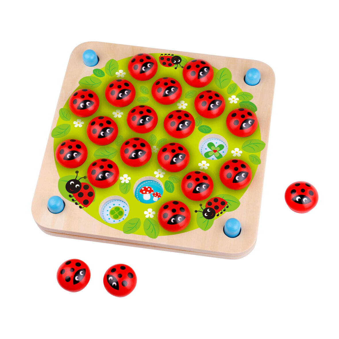 LadyBug's Garden Memory Game