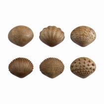Tactiles Shells